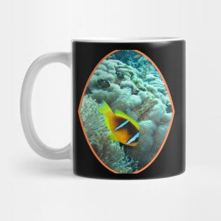 fish, cute fish, free fish, coral fish, fish coral, goldfish, pez, peces, pez colar, peces coral Mug